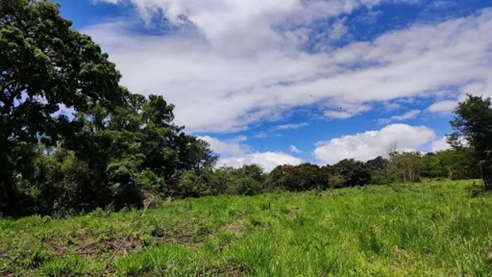 Terreno, 2600 m² - Foto 9