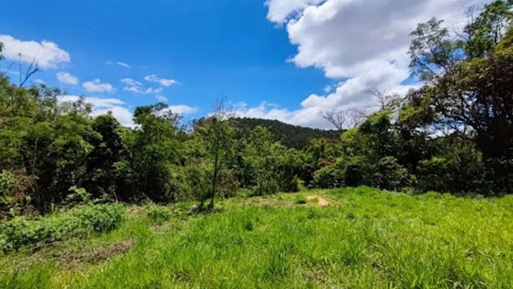Terreno, 2600 m² - Foto 8