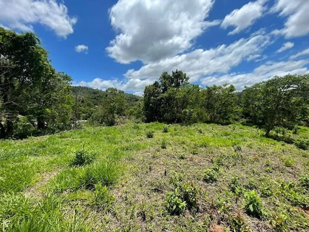 Terreno, 2600 m² - Foto 14