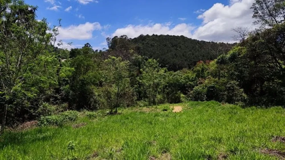 Terreno, 2600 m² - Foto 8