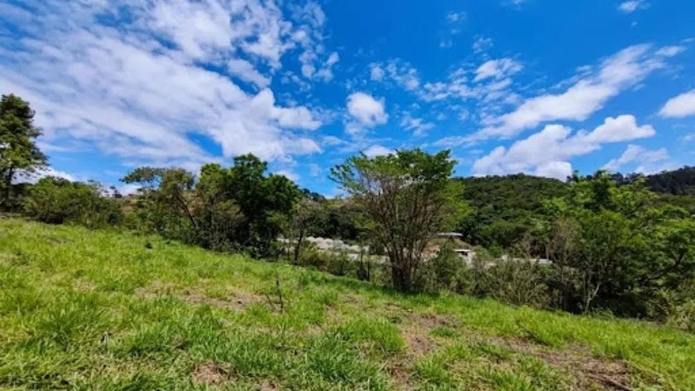 Terreno, 2600 m² - Foto 6