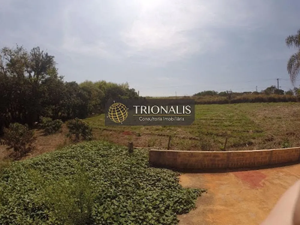 Terreno, 4 hectares - Foto 7