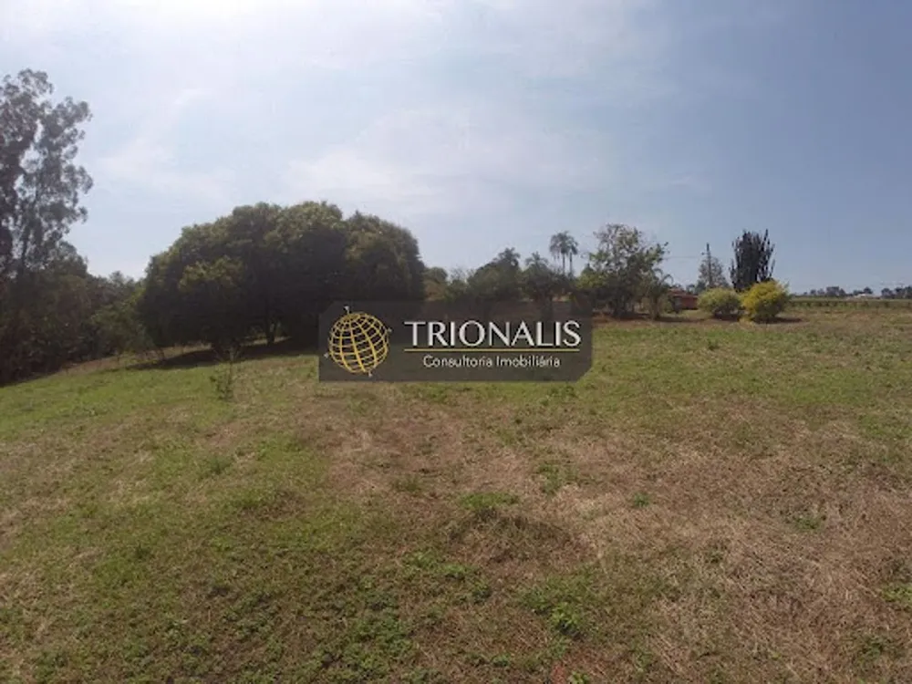 Terreno, 4 hectares - Foto 6