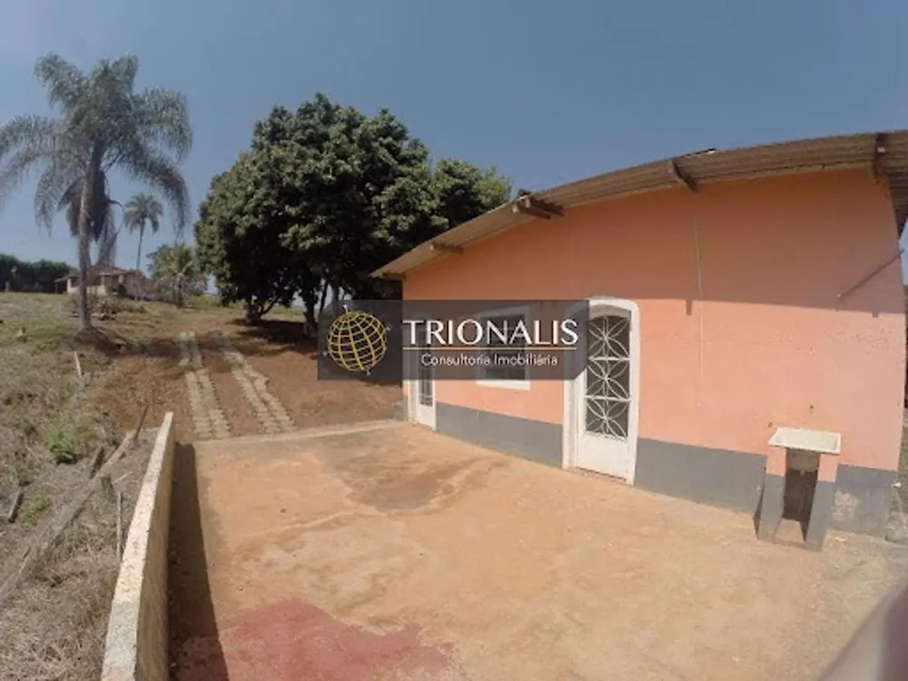 Terreno, 4 hectares - Foto 12