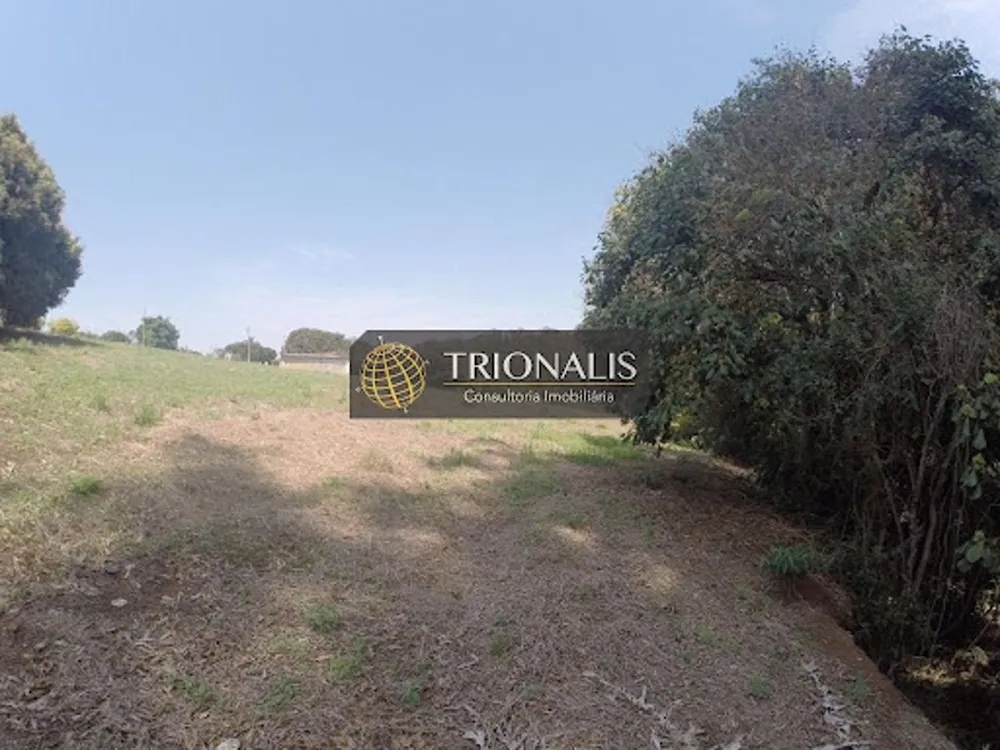 Terreno, 4 hectares - Foto 4