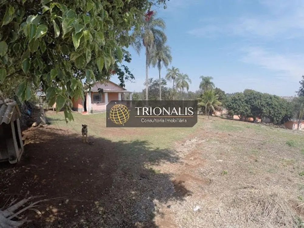 Terreno, 4 hectares - Foto 10