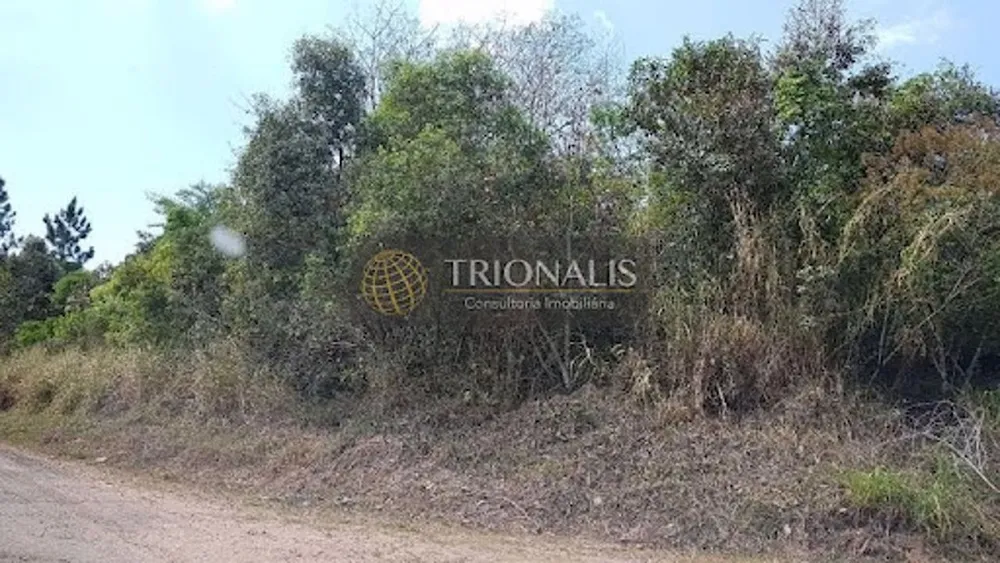 Terreno, 1000 m² - Foto 1