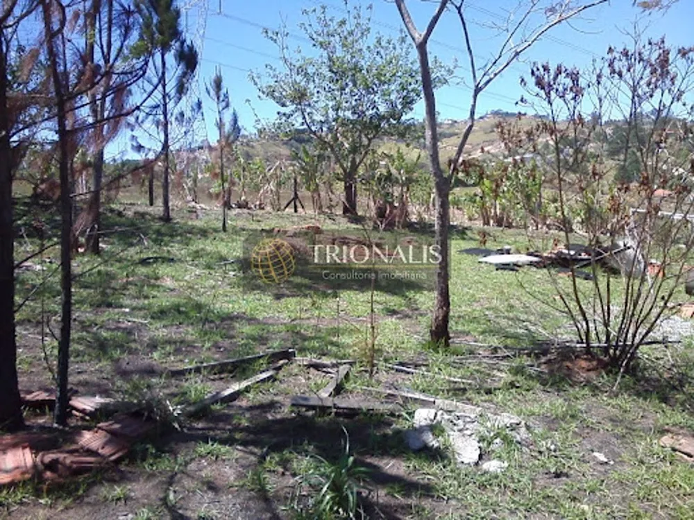 Terreno, 900 m² - Foto 6
