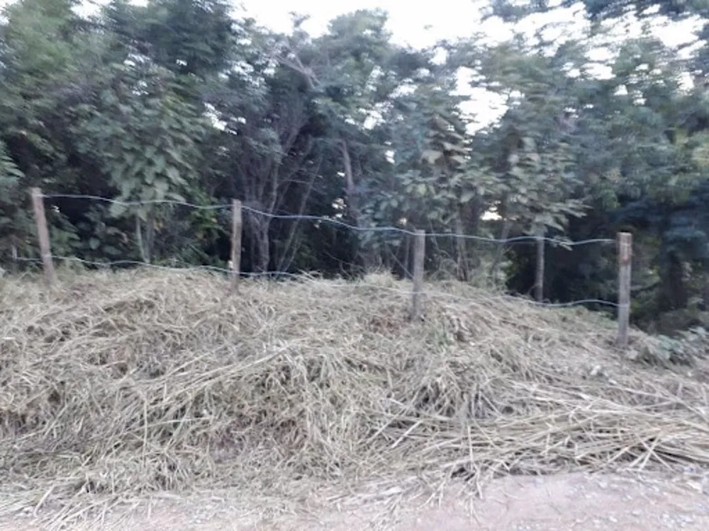 Terreno, 590 m² - Foto 9