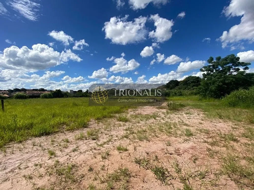 Terreno, 2824 m² - Foto 6