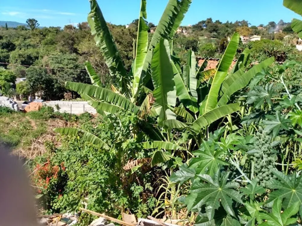 Terreno, 127 m² - Foto 1