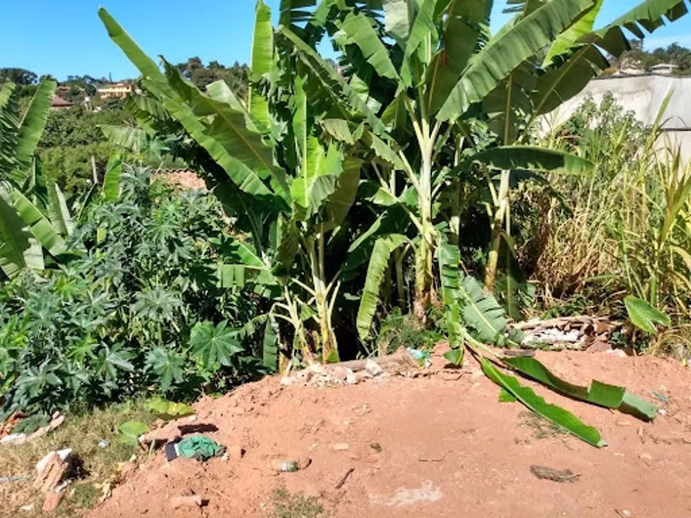 Terreno, 127 m² - Foto 9