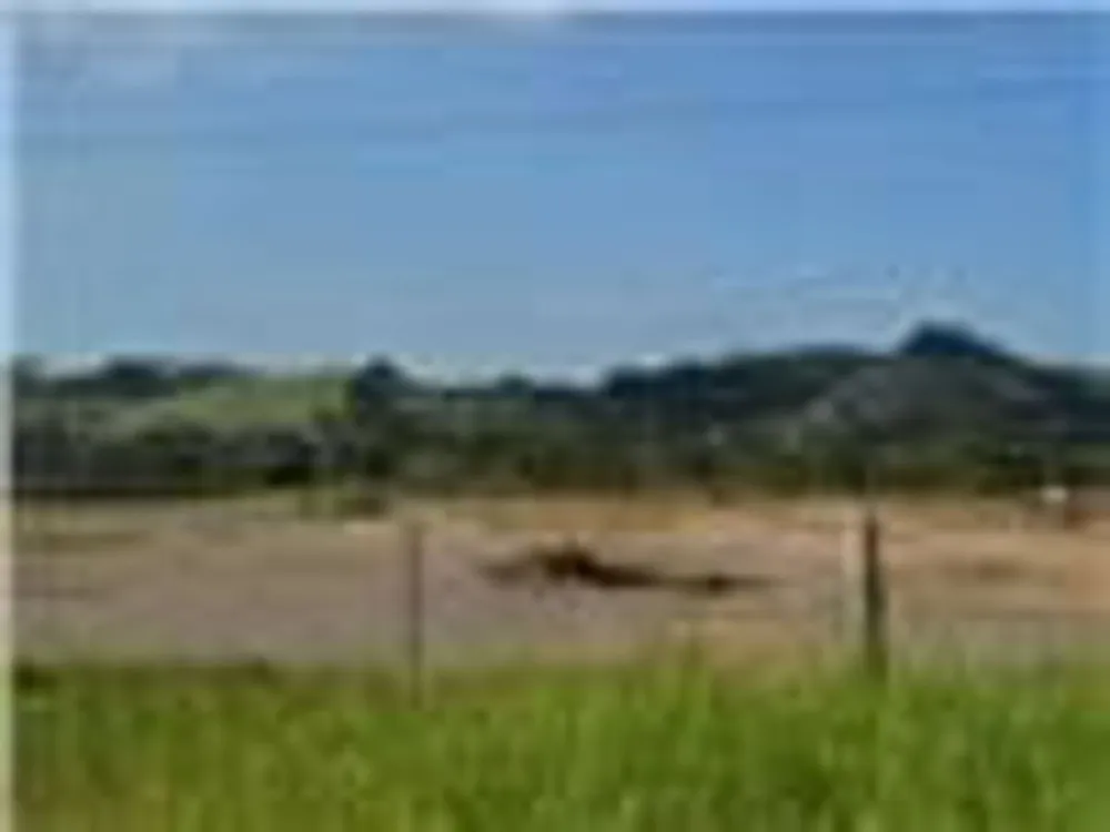 Terreno, 4 hectares - Foto 2