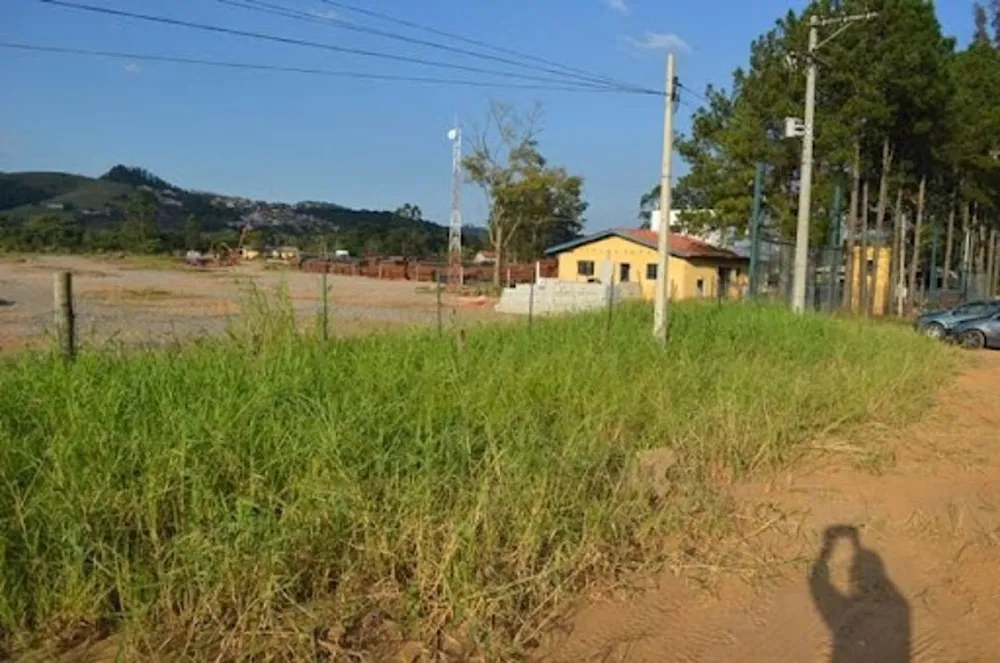 Terreno, 4 hectares - Foto 6