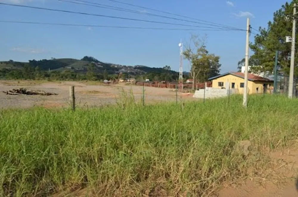 Terreno, 4 hectares - Foto 8