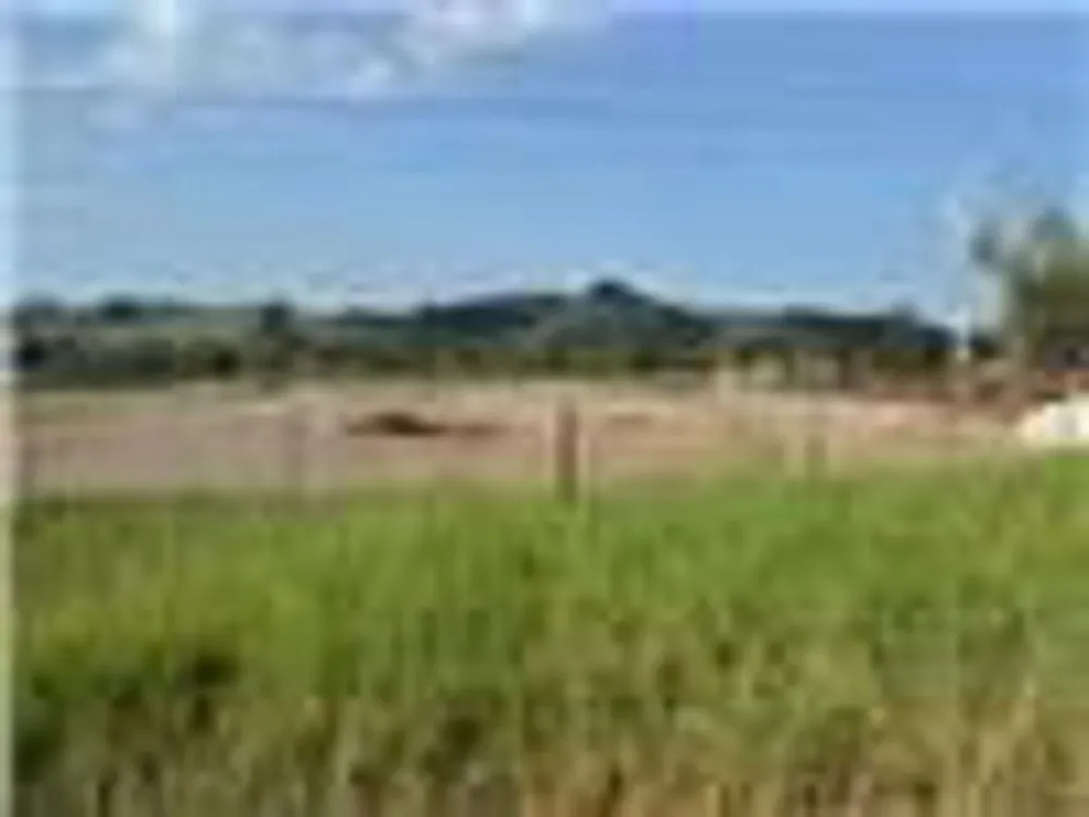 Terreno, 4 hectares - Foto 5