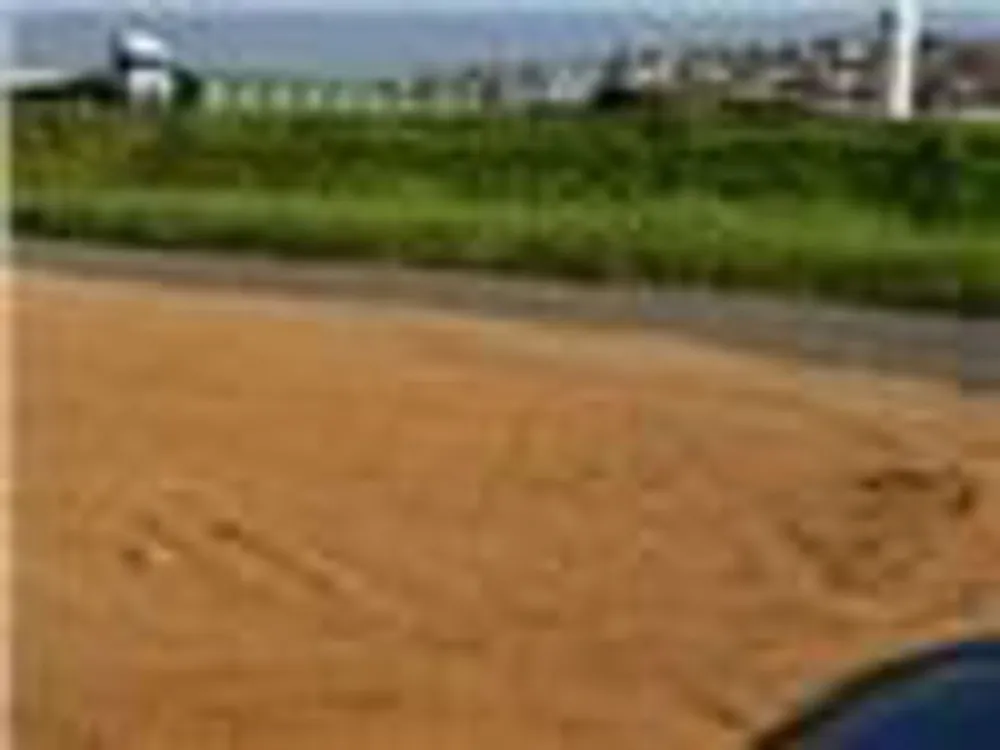 Terreno, 4 hectares - Foto 4