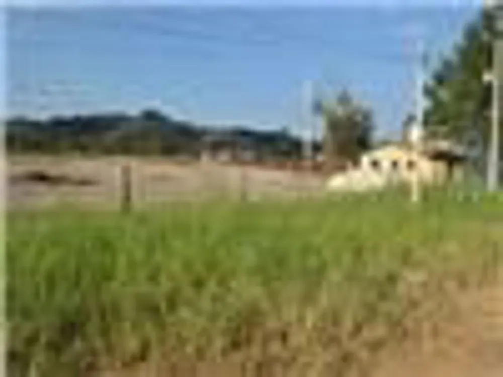 Terreno, 4 hectares - Foto 10