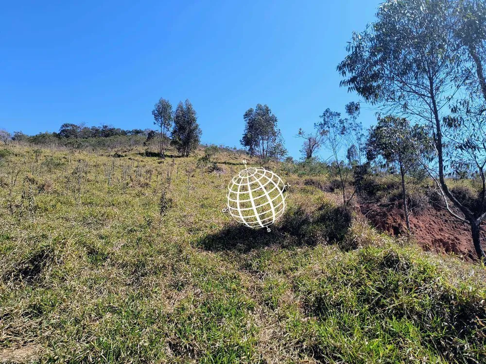 Terreno, 4 hectares - Foto 12