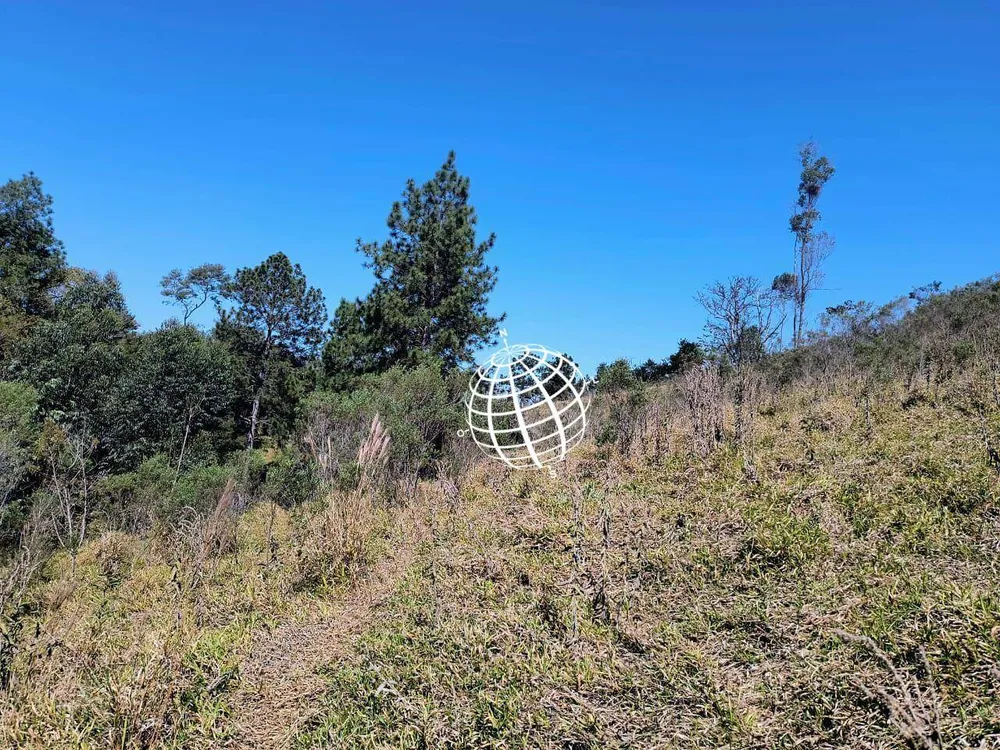 Terreno, 4 hectares - Foto 11