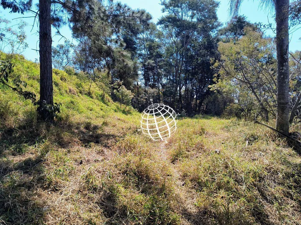 Terreno, 4 hectares - Foto 4