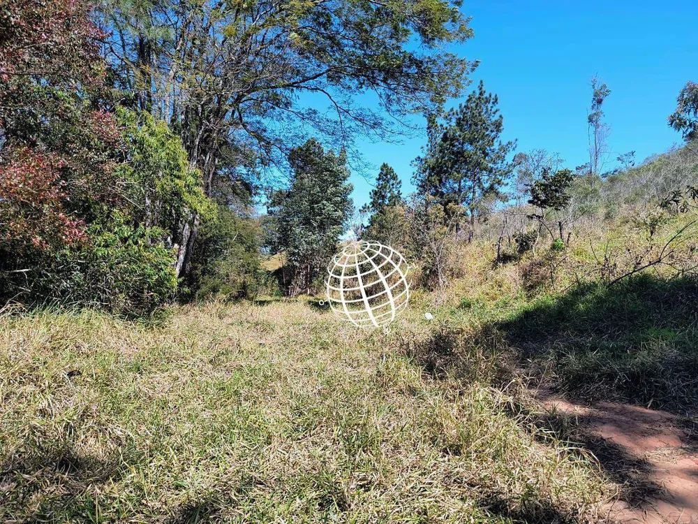 Terreno, 4 hectares - Foto 10