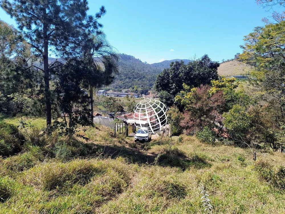 Terreno, 4 hectares - Foto 9