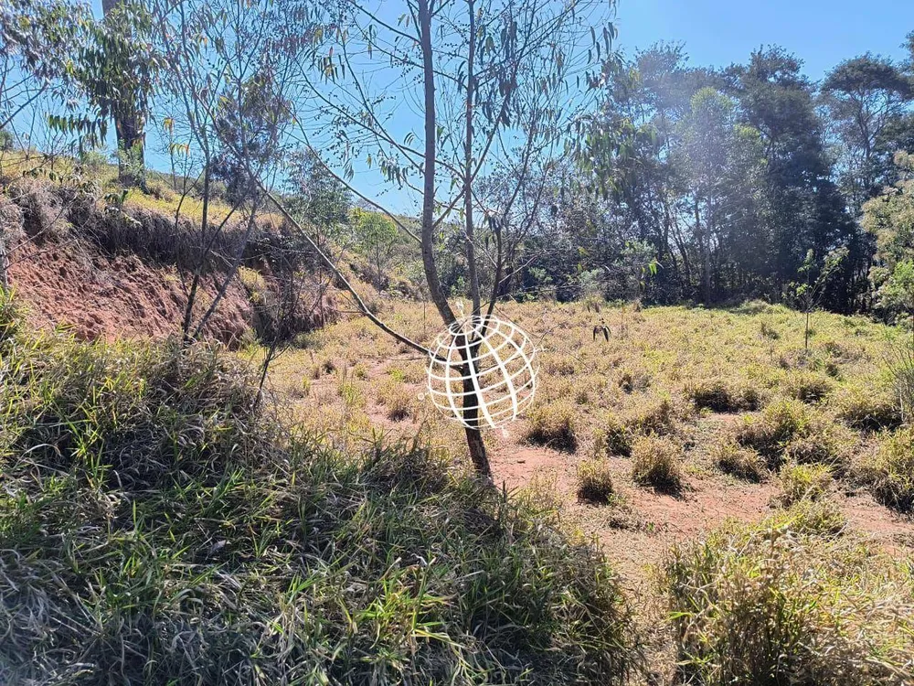 Terreno, 4 hectares - Foto 7