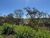 Terreno, 300 m² - Foto 4
