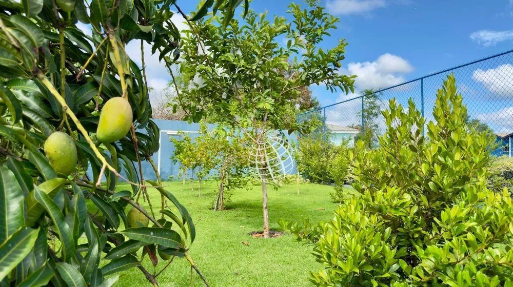 Chácara, 3 quartos, 800 m² - Foto 12