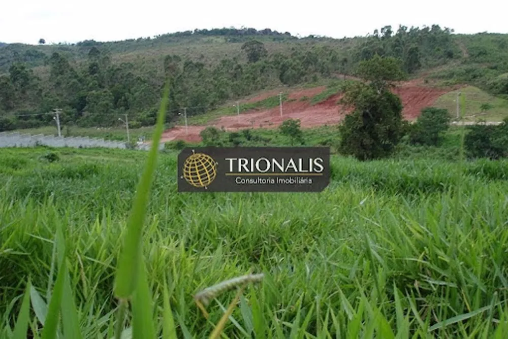 Terreno, 2 hectares - Foto 6