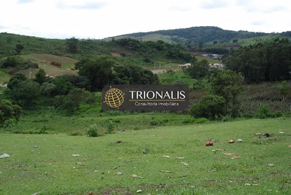 Terreno, 2 hectares - Foto 7