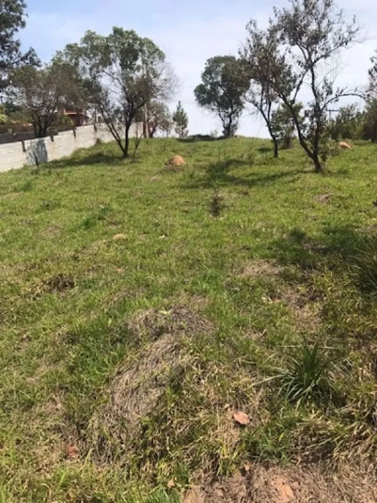 Terreno, 1082 m² - Foto 4