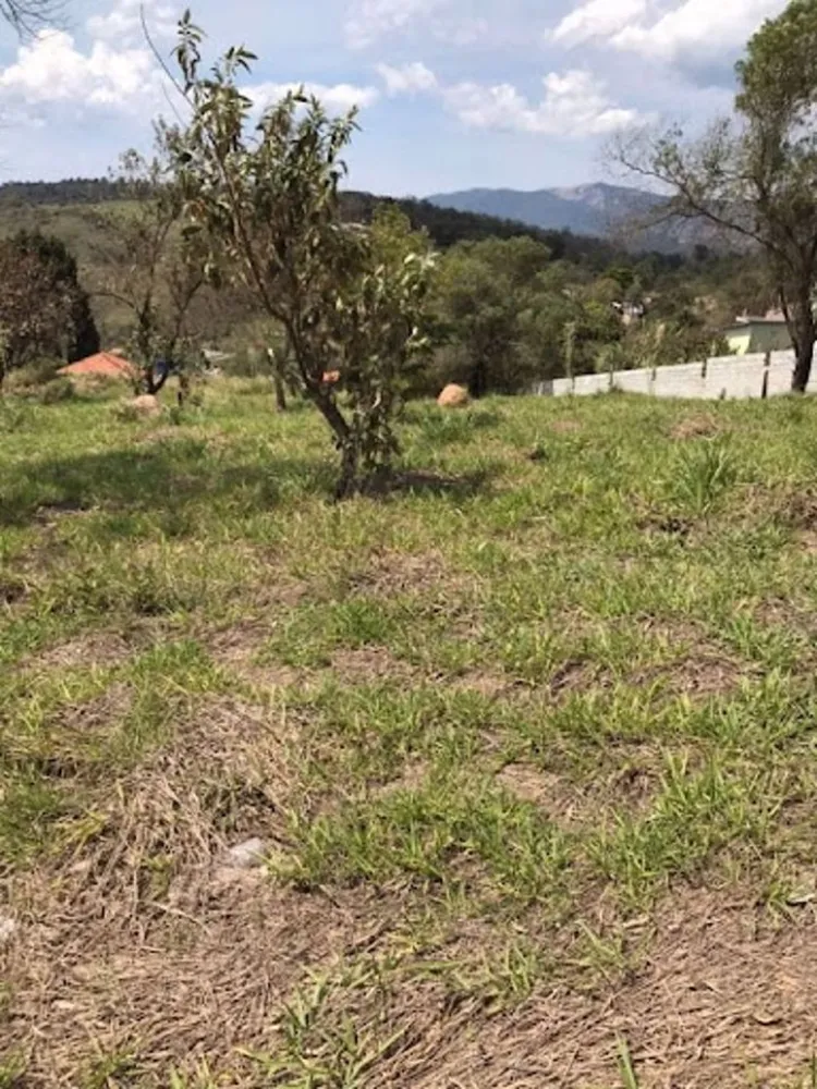 Terreno, 1082 m² - Foto 5