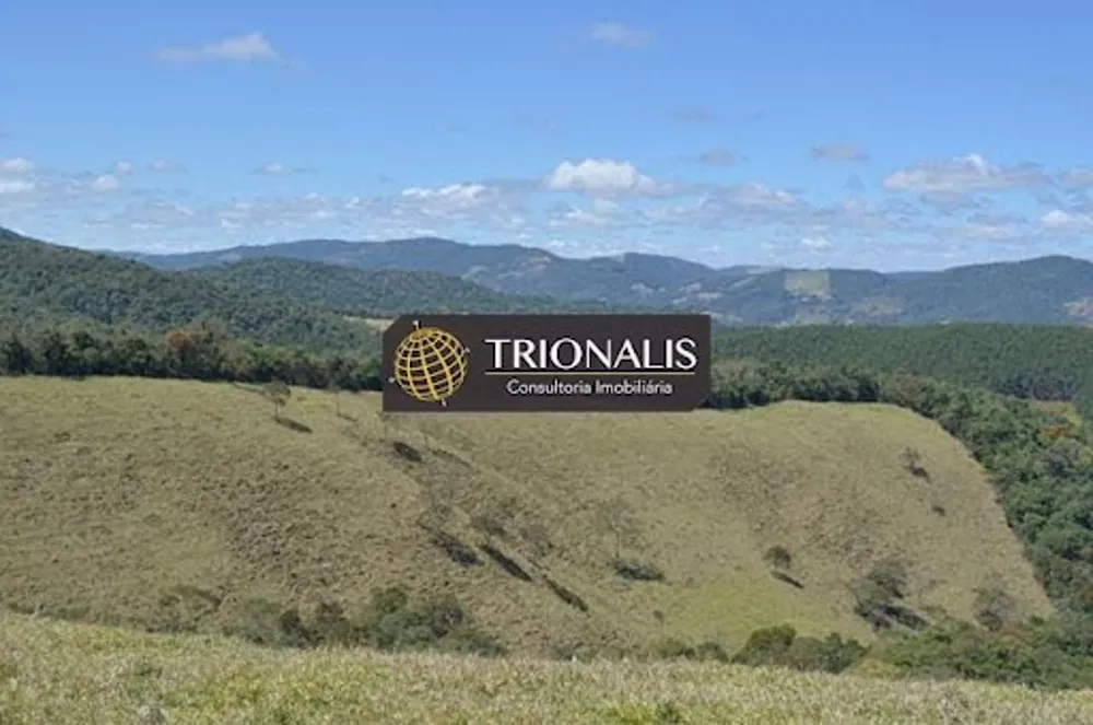 Fazenda, 102 hectares - Foto 8