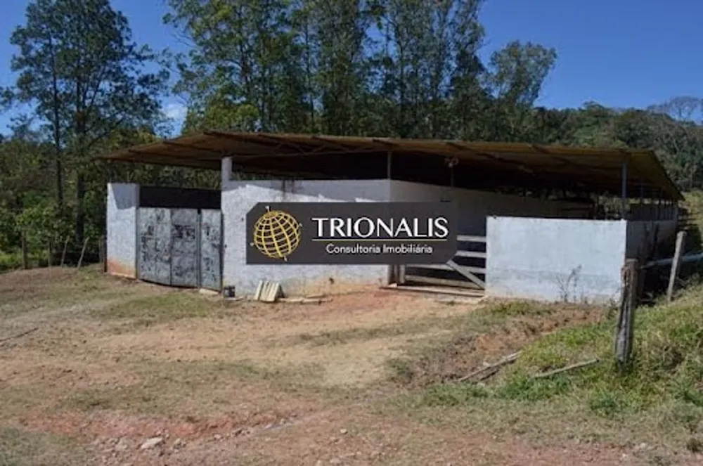 Fazenda, 102 hectares - Foto 12