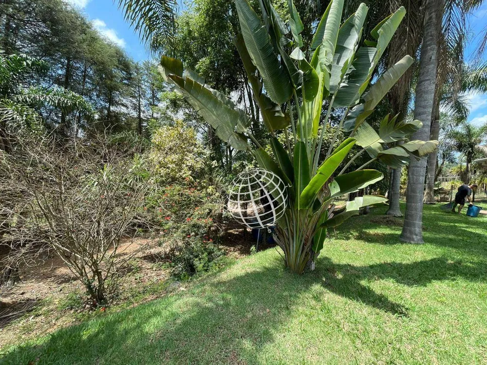 Chácara, 4 quartos, 2 hectares - Foto 4