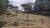 Terreno, 2000 m² - Foto 3