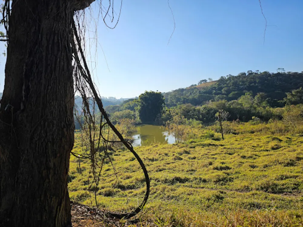 Sítio, 3 quartos, 12 hectares - Foto 4