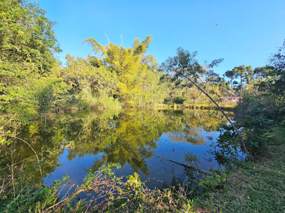 Sítio, 3 quartos, 12 hectares - Foto 4