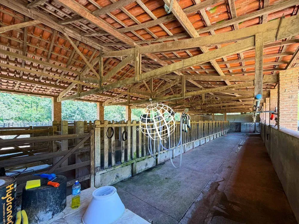 Fazenda, 126 hectares - Foto 9