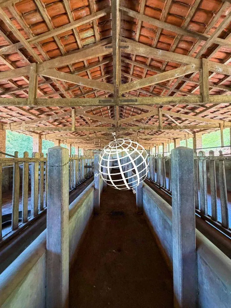Fazenda, 126 hectares - Foto 8