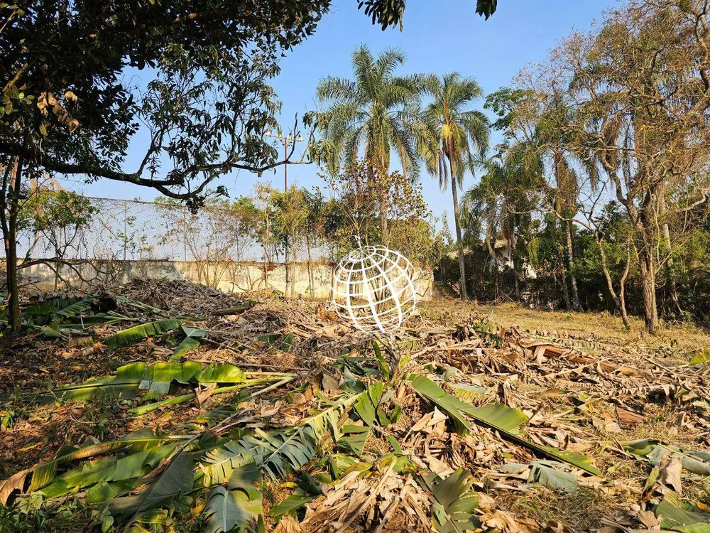 Terreno, 1000 m² - Foto 3