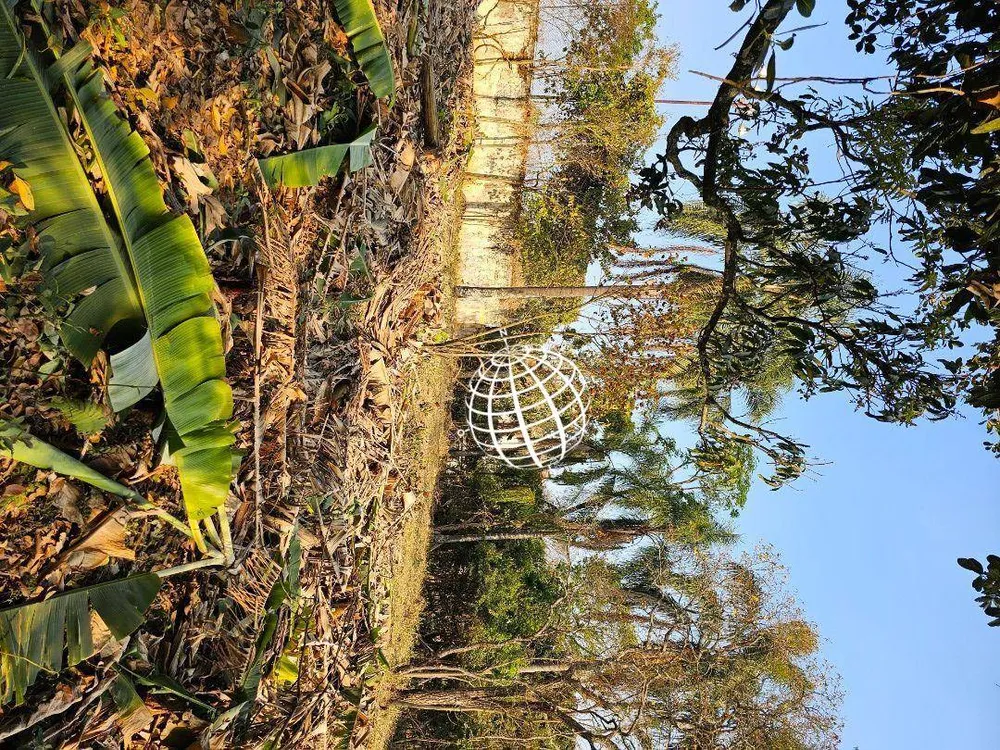 Terreno, 1000 m² - Foto 6