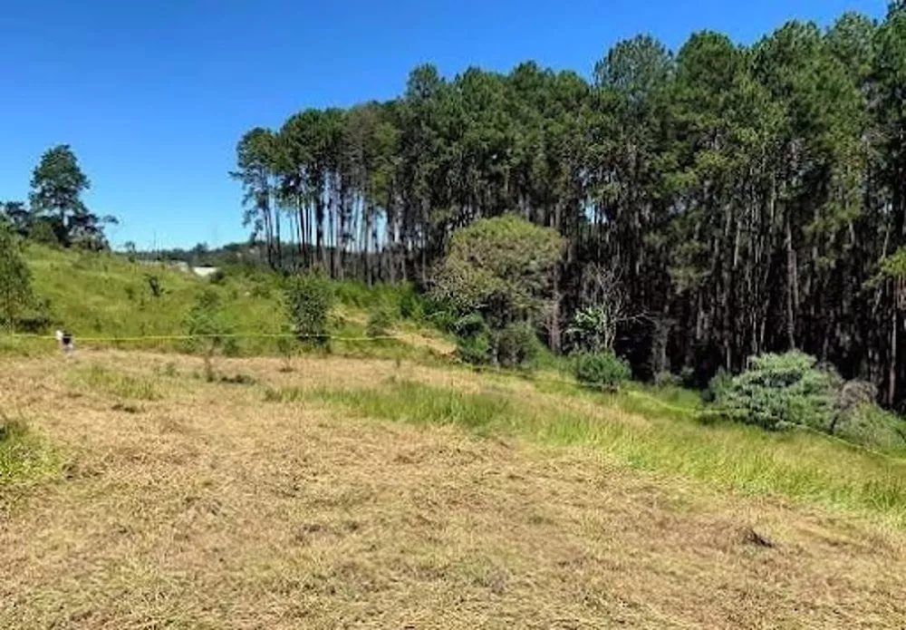 Loteamento e Condomínio à venda, 3000M2 - Foto 4