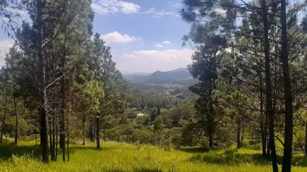 Loteamento e Condomínio à venda, 3000M2 - Foto 1