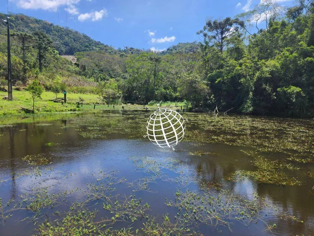 Sítio, 2 quartos, 53 hectares - Foto 11