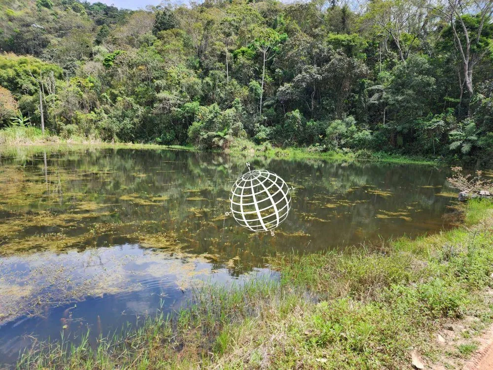 Sítio, 2 quartos, 53 hectares - Foto 4