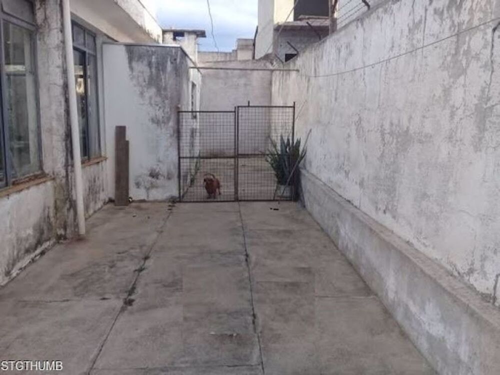 Casa, 3 quartos, 464 m² - Foto 27