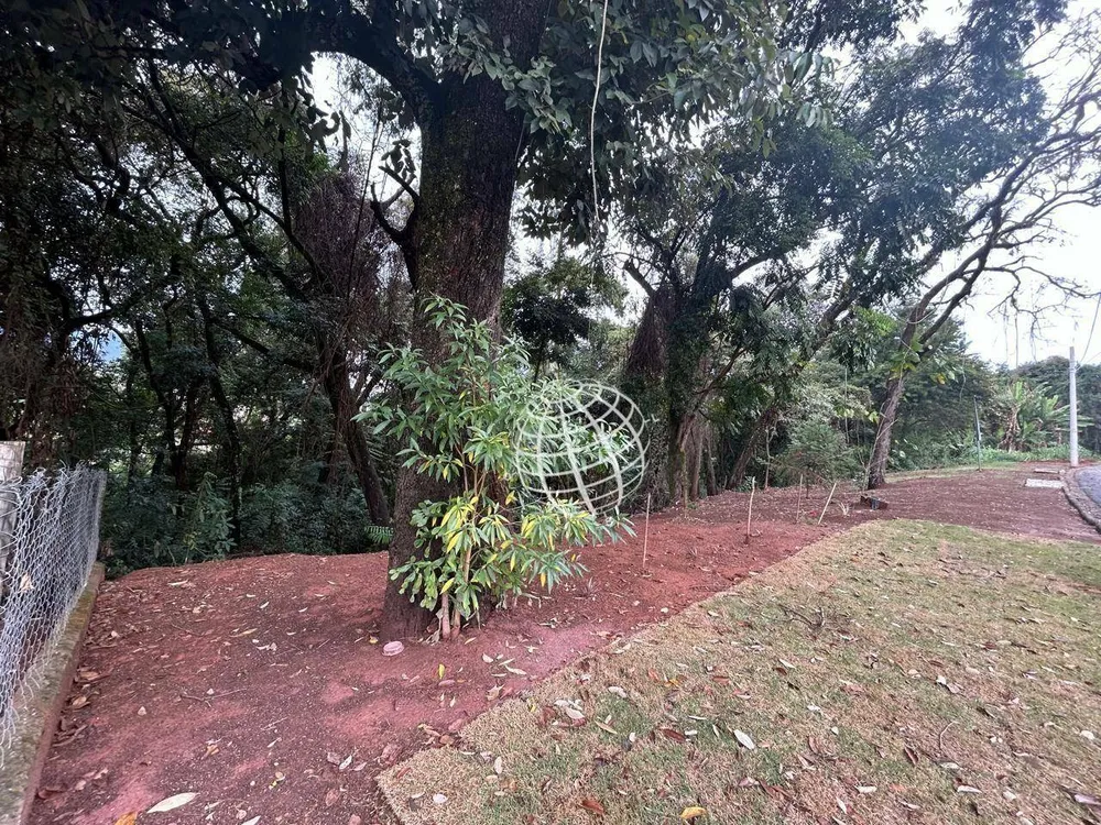 Terreno, 650 m² - Foto 3